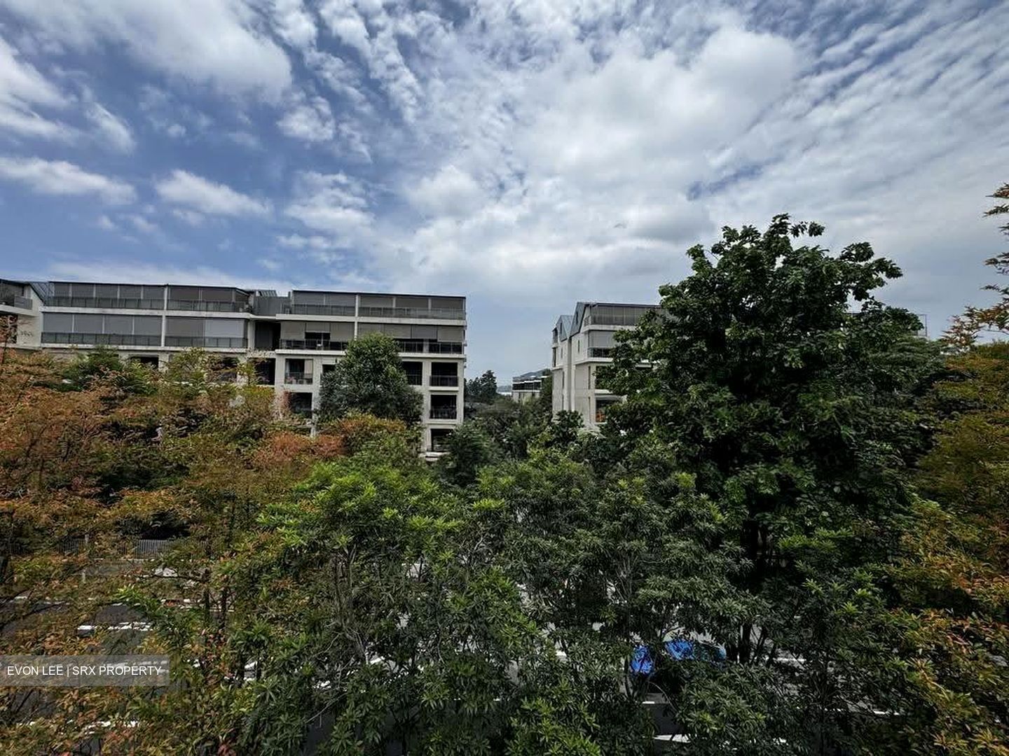 Miltonia Close (D27), Terrace #611080231